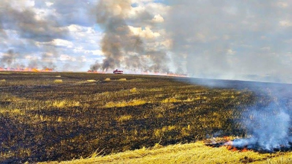 Na Slánsku likvidovali hasiči rozsáhlý požár pole s ječmenem